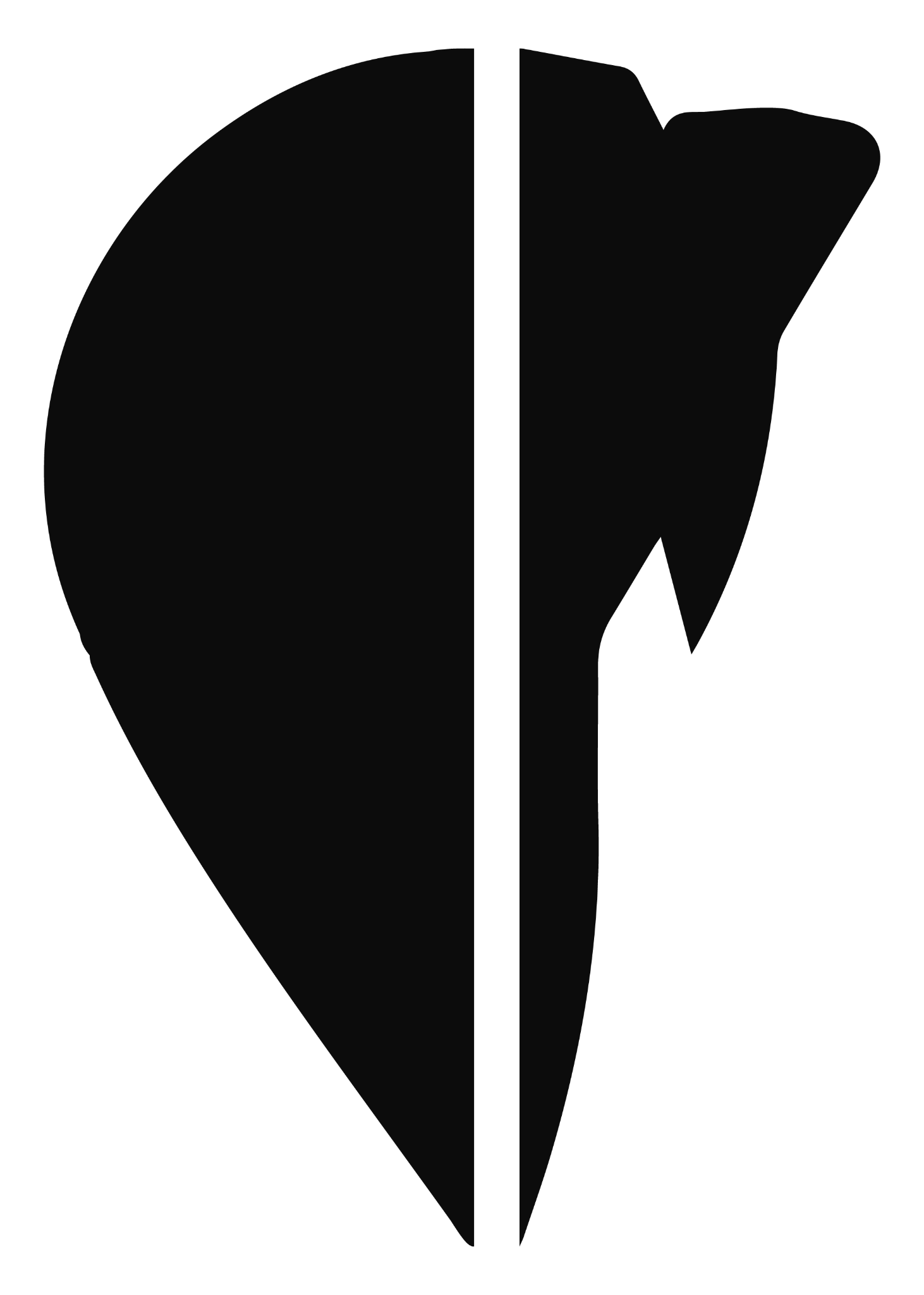 Mapping Dynamics shield symbol